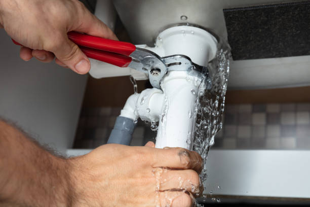 Best Sewage cleanup and water damage restoration  in Roxana, IL