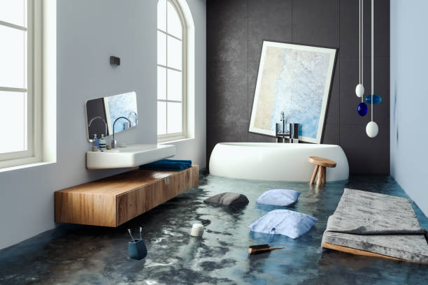 Best Carpet water damage restoration  in Roxana, IL