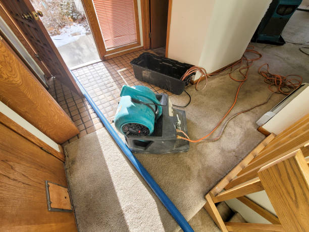 Local water damage restoration in Roxana, IL