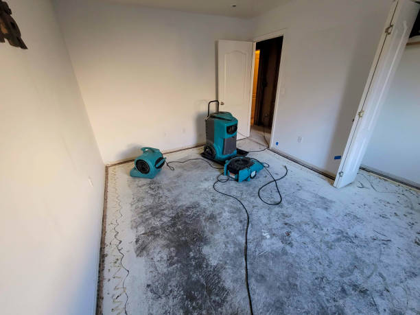 Best Flood restoration services  in Roxana, IL