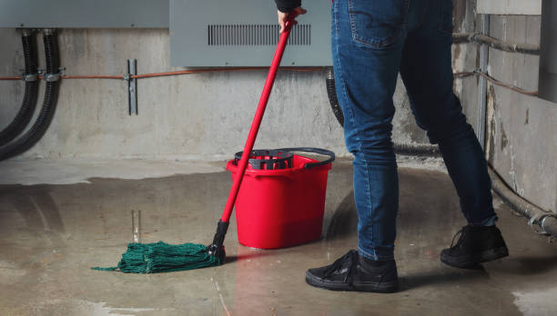 Best Professional water damage repair  in Roxana, IL
