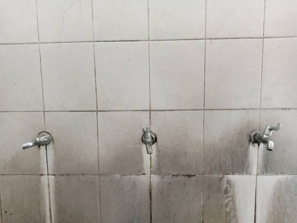 Best Flooded house restoration  in Roxana, IL