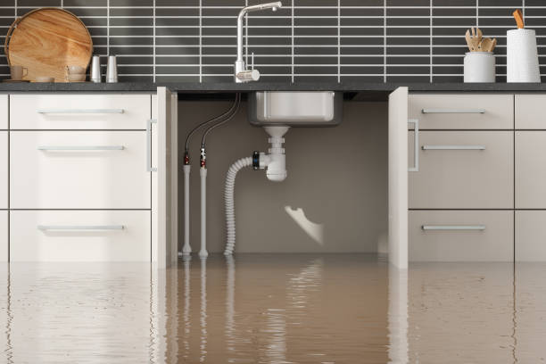Best Emergency water damage restoration  in Roxana, IL