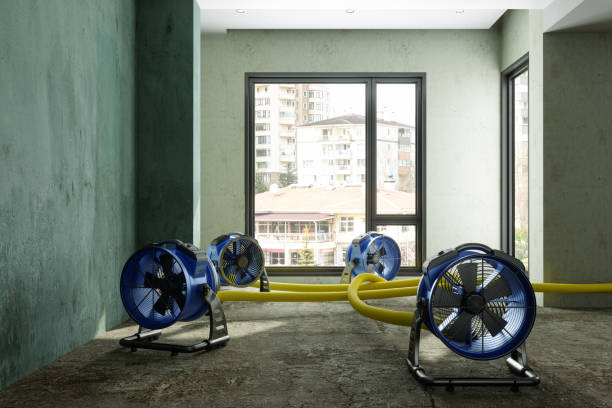 Best Water damage restoration near me  in Roxana, IL