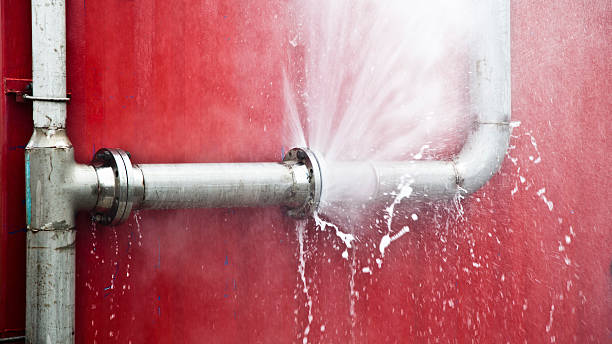 Best Ceiling water damage repair  in Roxana, IL