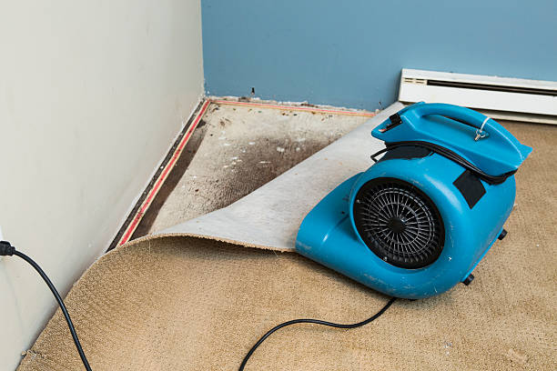 Best Water damage restoration near me  in Roxana, IL